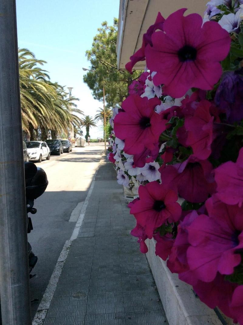 Hotel La Palazzina San Benedetto del Tronto Esterno foto